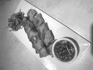 Vegetable Spring Rolls