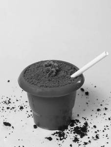 The Chocolate Mud Pot Premium Shake