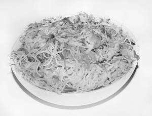 Veg Chowmin( Hakka)