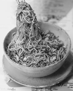 Szechuan Noodle Bowl