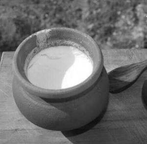 Plain Curd