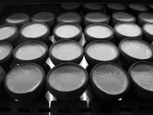 Mishti Dahi Kulad (1 Piece )