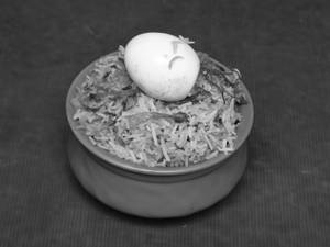 Egg Biryani