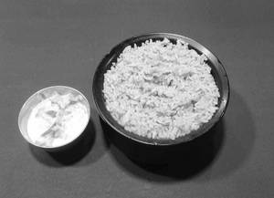 Plain Biriyani