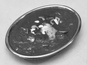 Palak Paneer