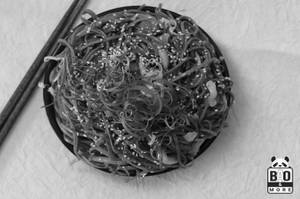Sesame Soba Noodles