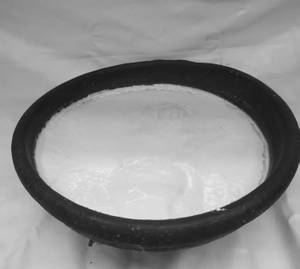 Plain Curd