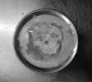 Malai Kofta