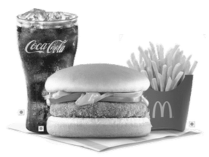 EVM McAloo Tikki Burger® 