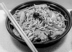 Veg hakka noodles