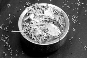 Shahi Paneer