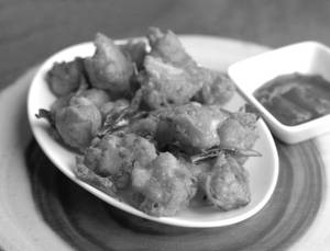 Gobi 65