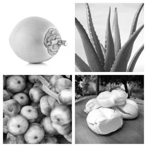 Tender Coconut Aloevera Within Nungu (750 Ml)