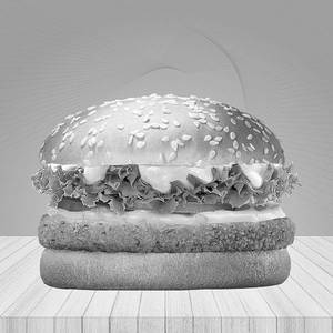 Veggie Feast Burger