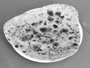 Plain Paratha  