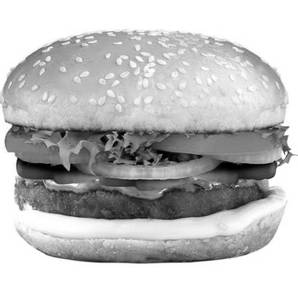 Onion & Capsicum Buger