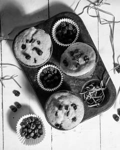 Blueberry Muffin