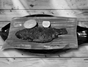 Katla Fry