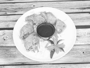 Veg Spring Roll