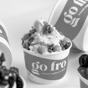 Go Fro Frozen Yogurt More in Greater Kailash 2 GK2 Delhi