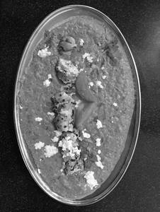 Multani Mushroom Masala