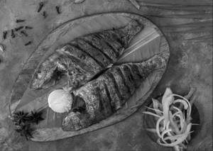Red Snapper Fry