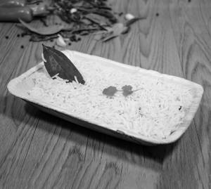 Steamed Rice