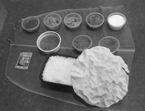 Veg Meals 