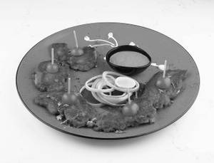 Tawa Fry Rawas With Tequila Glaze