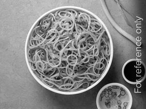 Veg Hakka Noodles