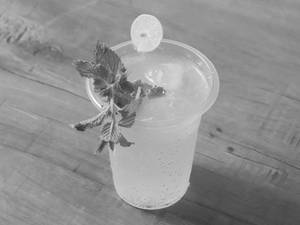 Virgin Mojito Mocktail