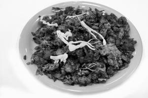 Mushroom Salt & Pepper