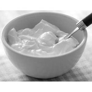Plain Curd