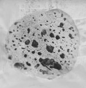Sada Parotta