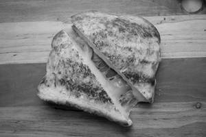 Cheese Sandwich