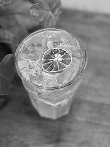Mint Mojito