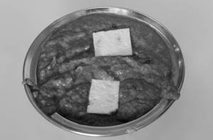 Khoya Paneer