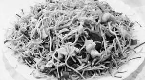 Non Veg Mixed Hakka Noodles