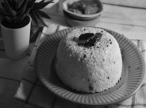 Curd Rice