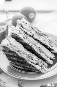 masala grilled sandwich