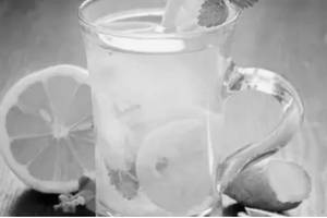 Fresh Lime Soda Large (500 ml)