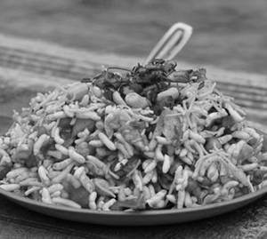 Bhel