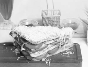 Veg Cheese Sandwich