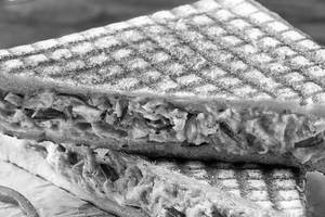 Paneer Grilled Sandwich