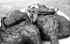 Grilled Chicken 