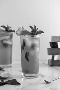 Mojito Mint