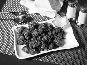 Gobi Manchuriya