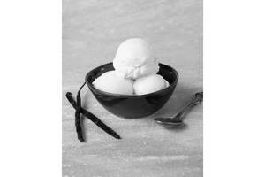 Vanilla Ice Cream
