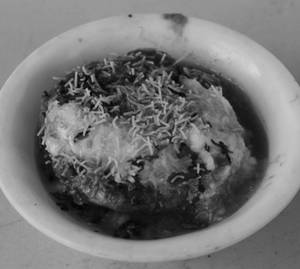 Samosa Masala