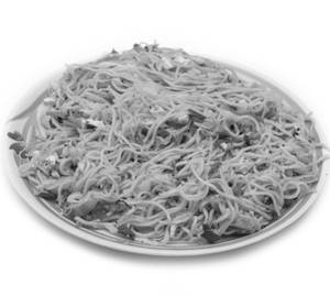 Chilli Garlic Noodles